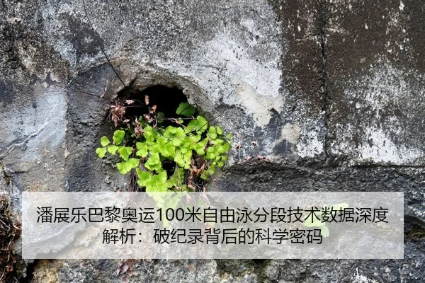 潘展乐巴黎奥运100米自由泳分段技术数据深度解析：破纪录背后的科学密码