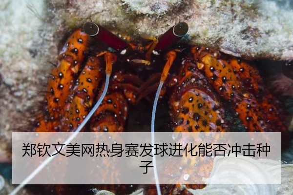 郑钦文美网热身赛发球进化能否冲击种子