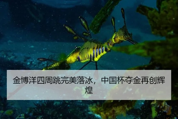 jin-bo-yang-si-zhou-tiao-wan-mei-luo-bing-zhong-guo-bei-duo-jin-zai-chuang-hui-huang-3-461.jpg