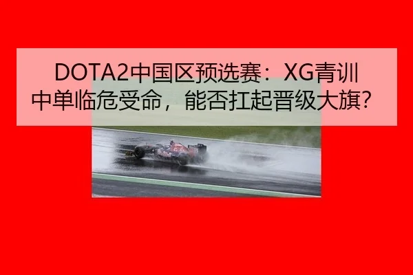 zhong-guo-qu-yu-xuan-sai-qing-xun-zhong-dan-lin-wei-shou-ming-neng-fou-kang-qi-jin-ji-da-qi-2-247.jpg