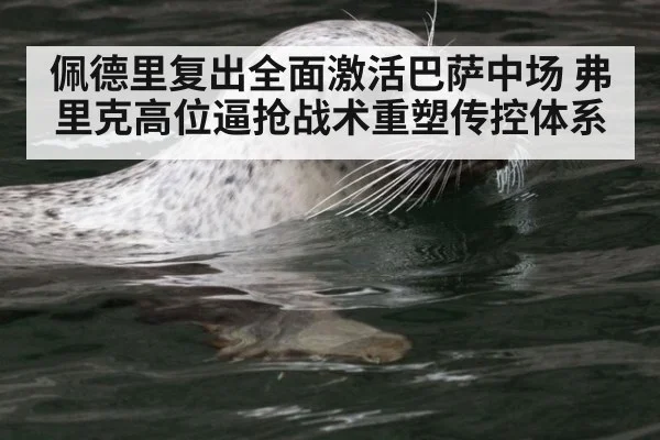 佩德里复出全面激活巴萨中场 弗里克高位逼抢战术重塑传控体系